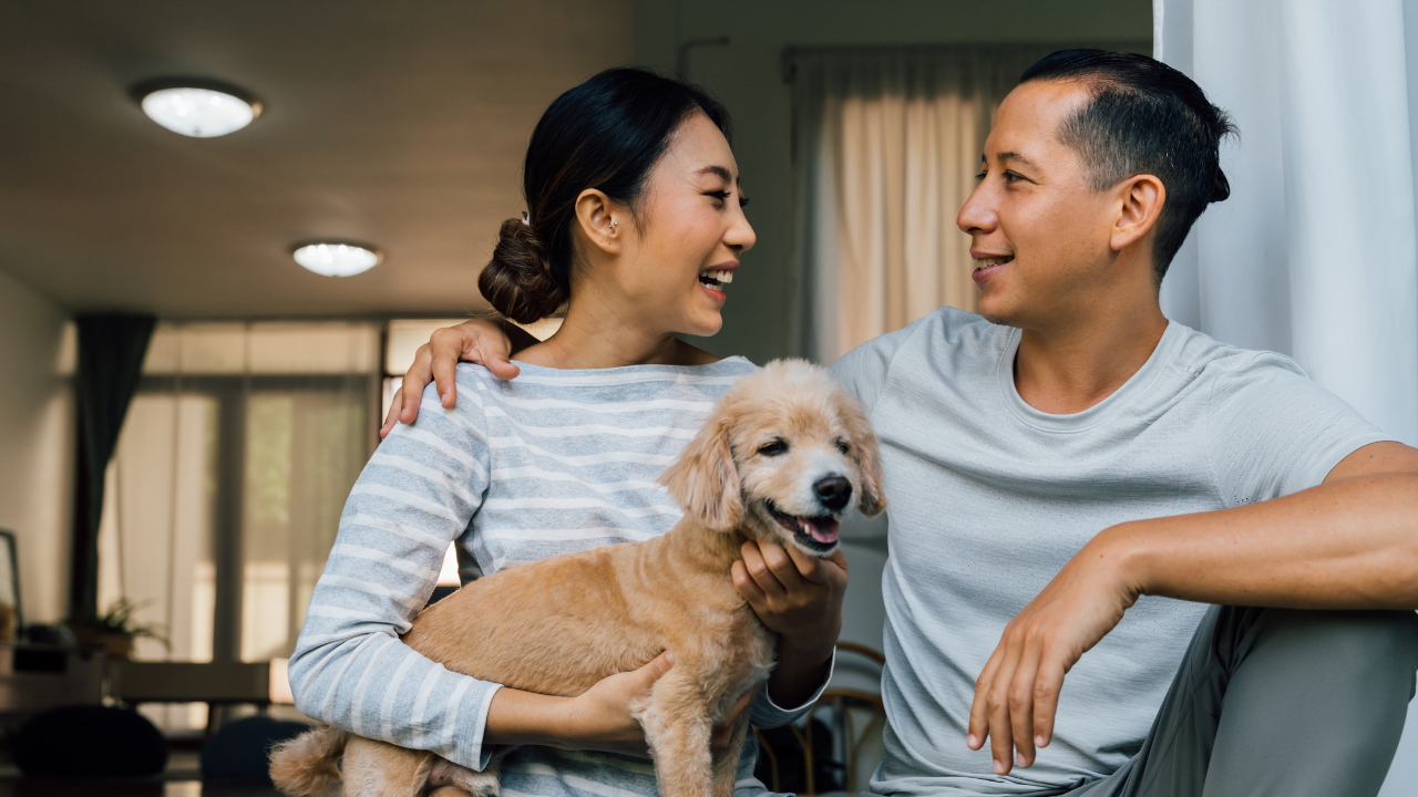 Pet-Friendly Couples Rehab